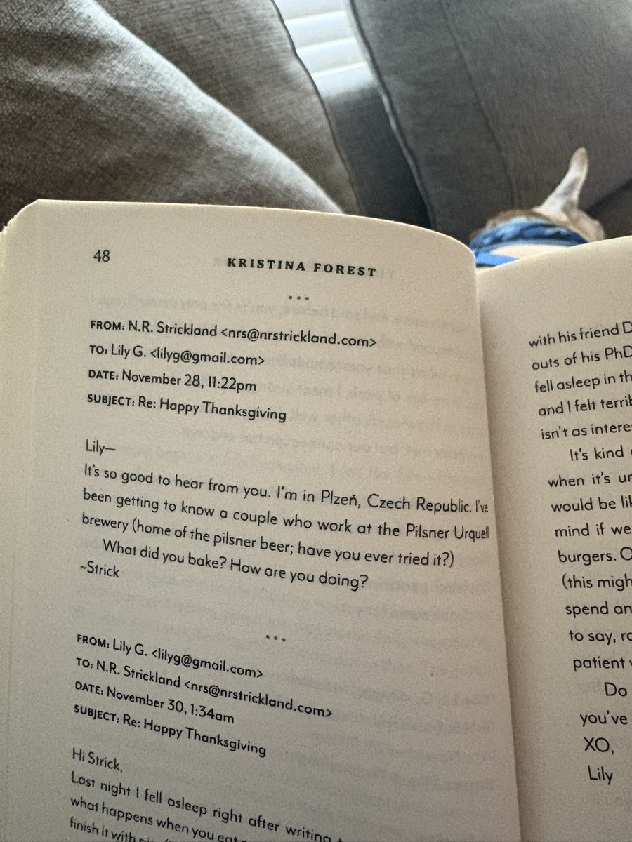 ___inCANdescent's tweet image. “Why read fiction you don’t learn anything”
Mind you this one paragraph in a romance book is how I put 2 and 2 together that Pilsen (Chicago neighborhood) is named after Plzeñ, Czech Republic from the high number of Czech immigrants at the time.
