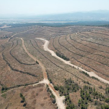 The images depict a reforestation effort in a previously burned area, showing a hand planting a small pine seedling in dry, rocky soil with scattered twigs and debris. In the background, young trees and a forested area are visible under a clear sky, indicating ongoing recovery. The post text from Orman Genel Müdürlüğü (@OGMgovtr) specifies that 570 hectares in İzmir Buca, affected by a fire, are being restored, with 257 hectares already planted and 104 hectares naturally regenerating. The scene highlights environmental restoration efforts, with no platform watermarks present.