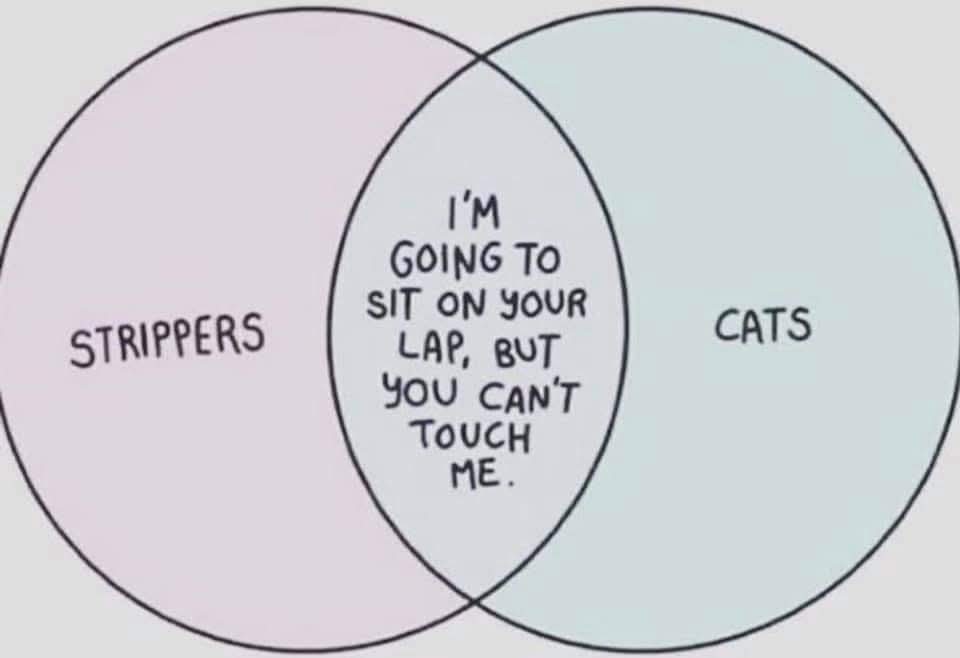 bonkerssteve's tweet image. 