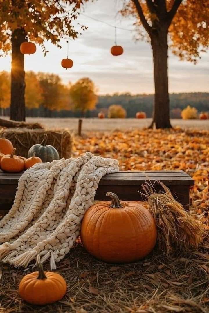 NosCalanGaeaf's tweet image. 17 days until Halloween 2025!
Are you ready?
🎃🍂🎃🍂🎃🍂🎃🍂🎃
#Halloween