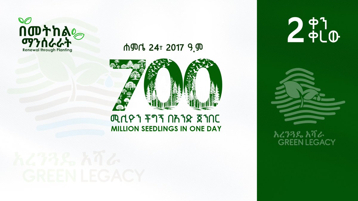 2 ቀን ቀረው!

ሐምሌ 24 ፣2017 700 ሚሊዮን ችግኝ በአንድ ጀንበር። እንዘጋጅ!

2 days remaining!

July 31, 2025 #Ethiopia will attempt planting 700 million seedlings in one day. Let’s get ready as the count down continues.

#አረንጓዴዐሻራ
#GreenLegacy
#PMOEthiopia