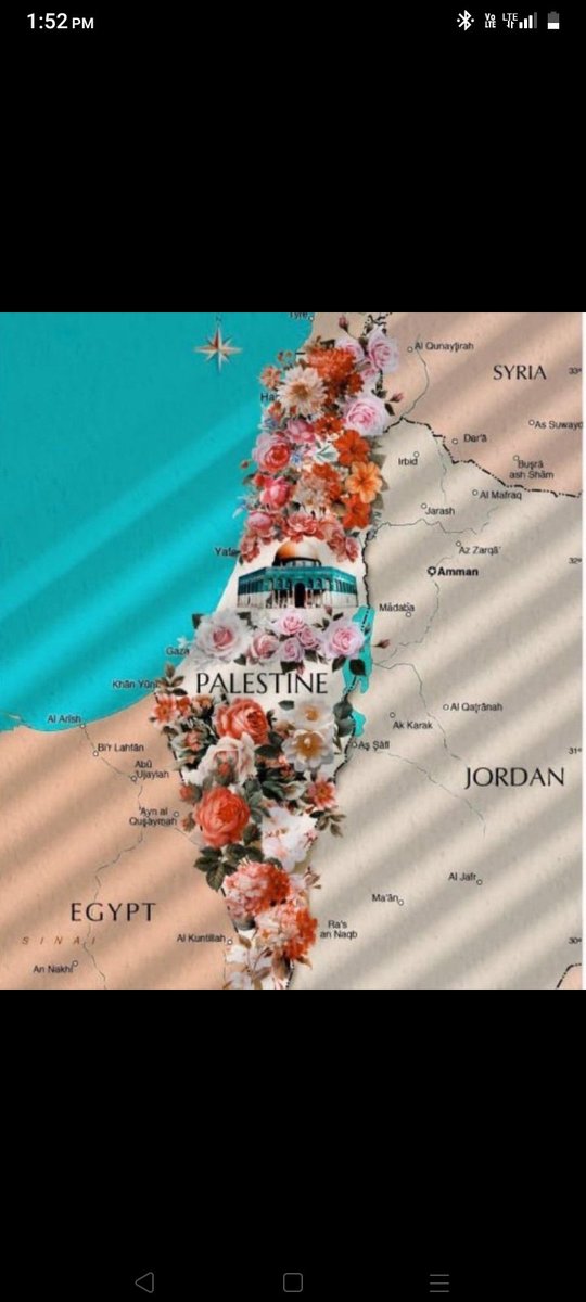 JubyR85432's tweet image. Inshallah 🤲🇵🇸