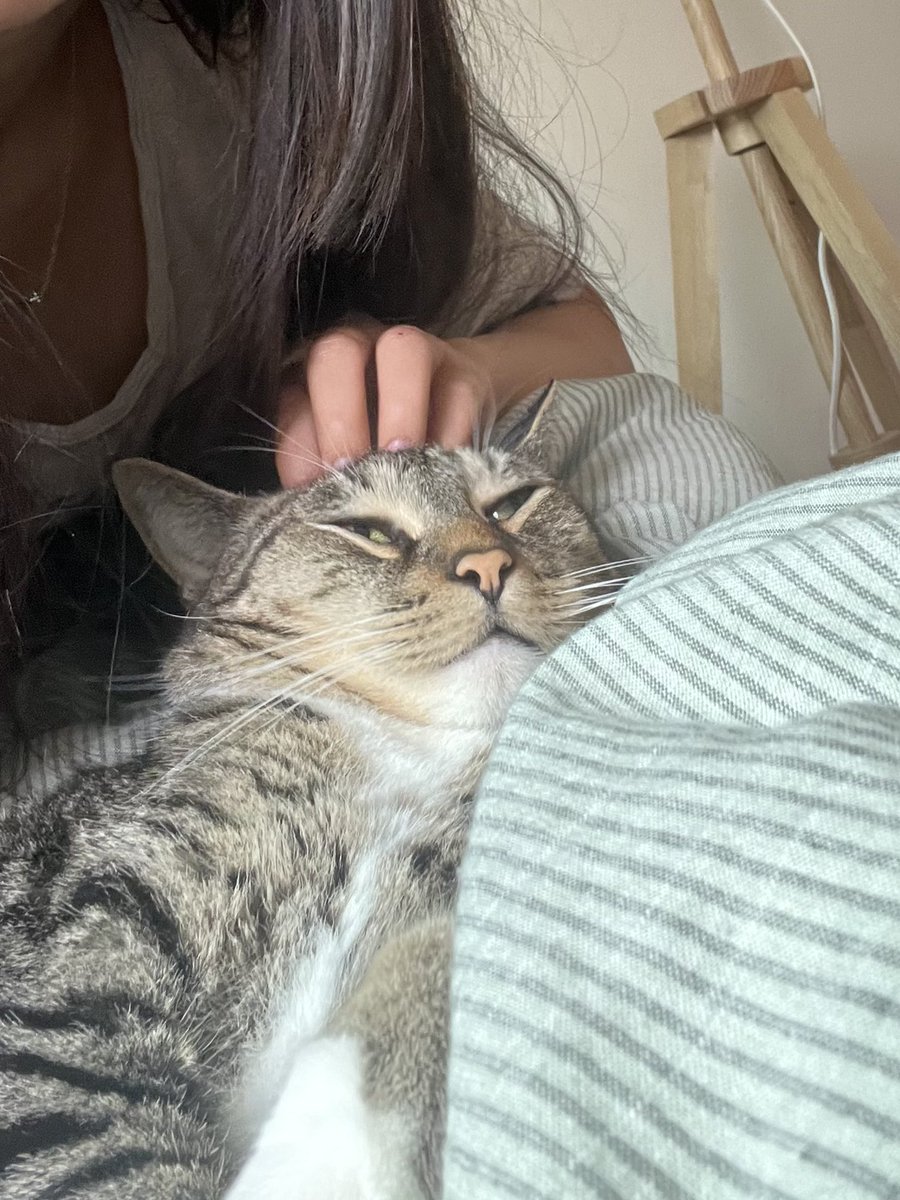 Mungbeanster's tweet image. yeeaaaghhh head massage
