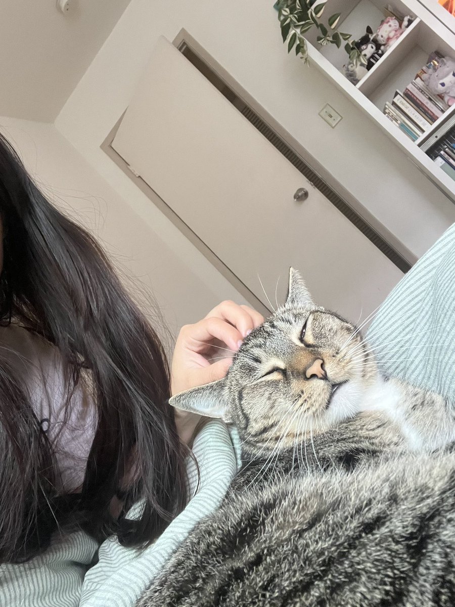 Mungbeanster's tweet image. yeeaaaghhh head massage