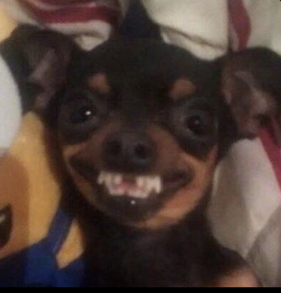 Nalukooooola's tweet image. Nze bwemba mala nebwontemako omutwe mba sikuwulira 🥹😂😂