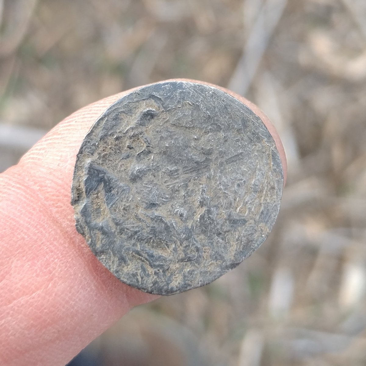 SDetectorist's tweet image. Back to old school detecting this evening. Forgot my pouch, and hence my pin pointer 🤦🏻♂️
Digging rather large holes to find those stupid side of the hole signals.
Anyway, first find. A circular disc of Hallmarked silver.
Brooch? Mount? No idea.