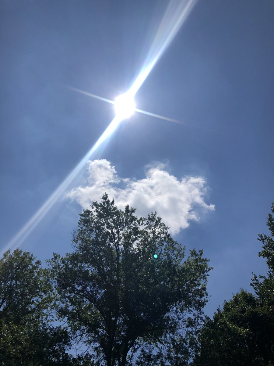Surprisingly, it’s been a blue sky today and I haven’t noticed Chemtrails. It’s quite amazing! It doesn’t mean it’s not happening. There’s just one small cloud in the sky and I’m used to the lingering clouds that spread after they spray. I think they’re spraying at a higher