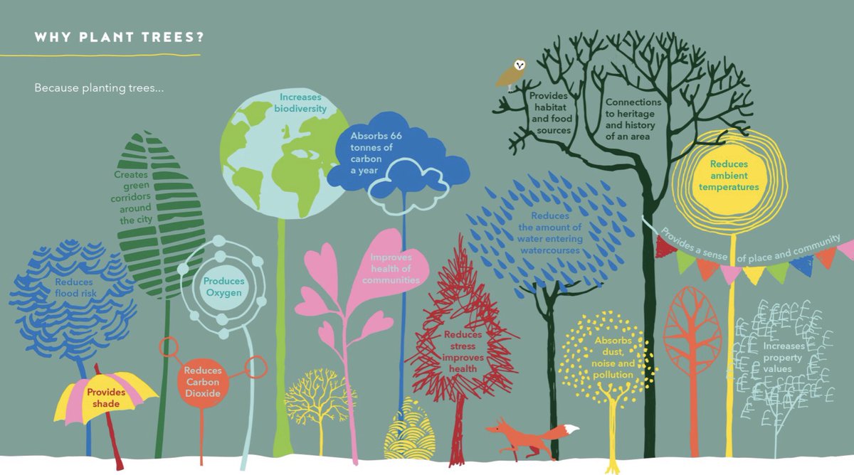 Cllr Jane Dowson (@cllrjanedowson) on Twitter photo Woodland creation consultation. …dswoodlandcreation2025.commonplace.is please have your say. There are some great schemes proposed across Leeds <a href="/ChapelAToday/">Chapel A Today</a> <a href="/Child_Leeds/">Child Friendly Leeds</a> improve air quality-provide shade and cool areas-create habitats for local wildlife Woodland creation consultation. …dswoodlandcreation2025.commonplace.is please have your say. There are some great schemes proposed across Leeds <a href="/ChapelAToday/">Chapel A Today</a> <a href="/Child_Leeds/">Child Friendly Leeds</a> improve air quality-provide shade and cool areas-create habitats for local wildlife