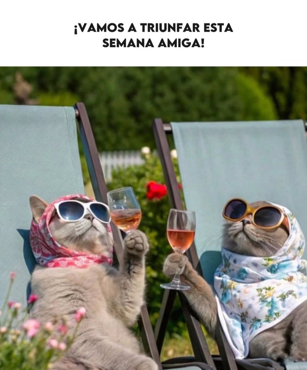 holaNFT's tweet image. Vibes!!! 🤩
Qué emoción esta semana amigos!!!
Se viene @unlocksummit_io en Zacatlán de las Manzanas, Puebla!! 🍎 💜 31 de julio al 3 de agosto:
Y antes, a celebrar los 10 años de Ethereum con @ETHCincoDeMayo 🥳 el 30 de julio en Ciudad de México 🇲🇽
Todo esto acompañado de…