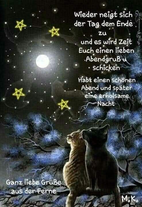 NatiD71's tweet image. Schlaft gut und träumt was schönes 😴 😴 😴