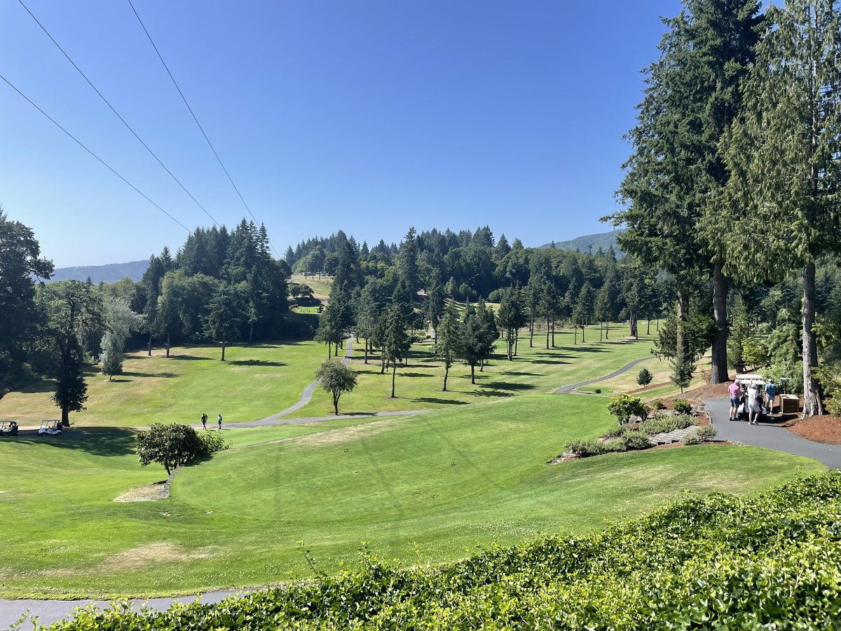 NFTMike42's tweet image. Oh man, r/golf is going through it today…