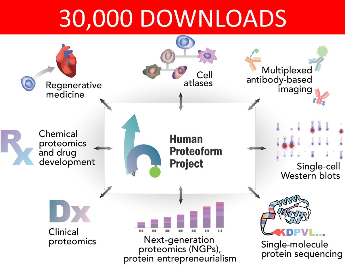 30,000 downloads and counting!

The Human Proteoform Project: Defining the human proteome

science.org/doi/10.1126/sc…
#proteomics #proteoforms #massspec