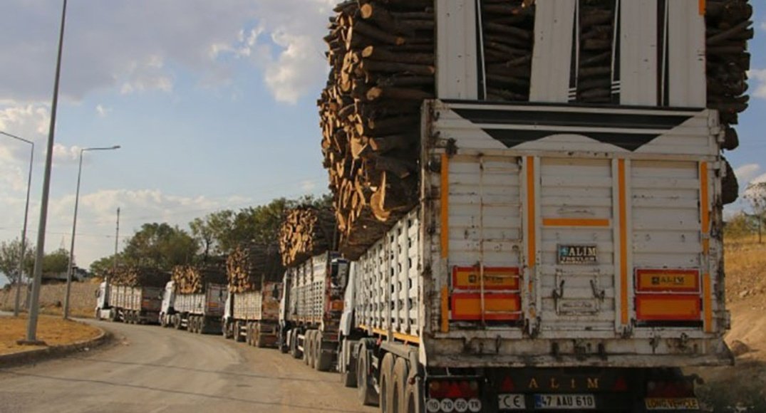 Şırnak'ta, Silopi, Zaxo ve Gabar dağlarında günde 270 tona yakın ağaç kesiliyor ! Doğayı katlediyorlar! 
   #sırnaktaağackatliamıvar