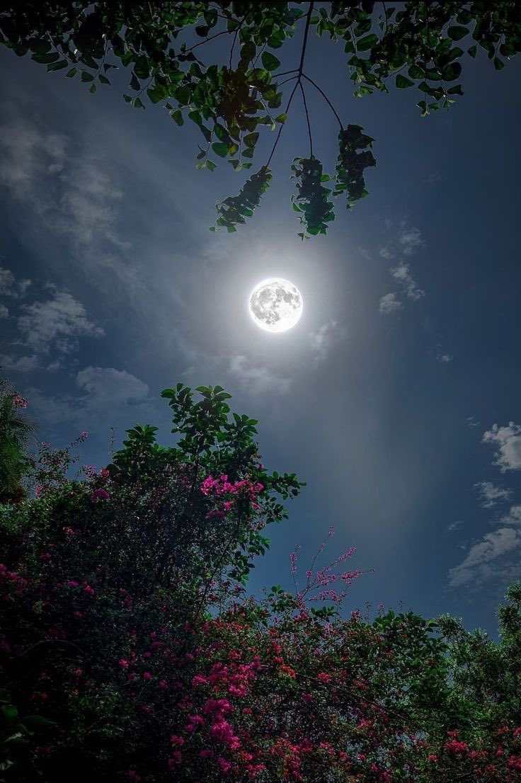 VkkasK's tweet image. Good Night Friends ✌🏼