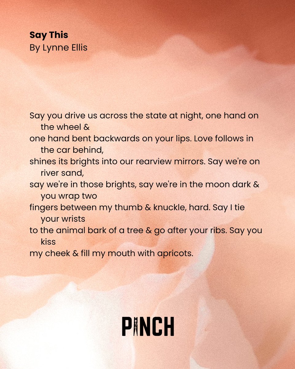 Looking for something new to read? Check out our latest poem, "Say This" by Lynne Ellis. The full piece is out on PJO. Read it on our site now.
#poetry #pinchjournal #litmag