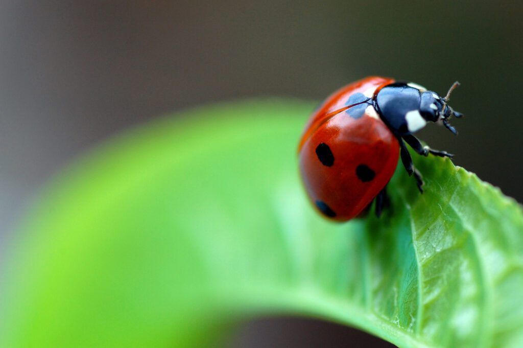 Unplug: Mud, Bugs &amp; Fish sheridanmedia.com/news/202937/un…