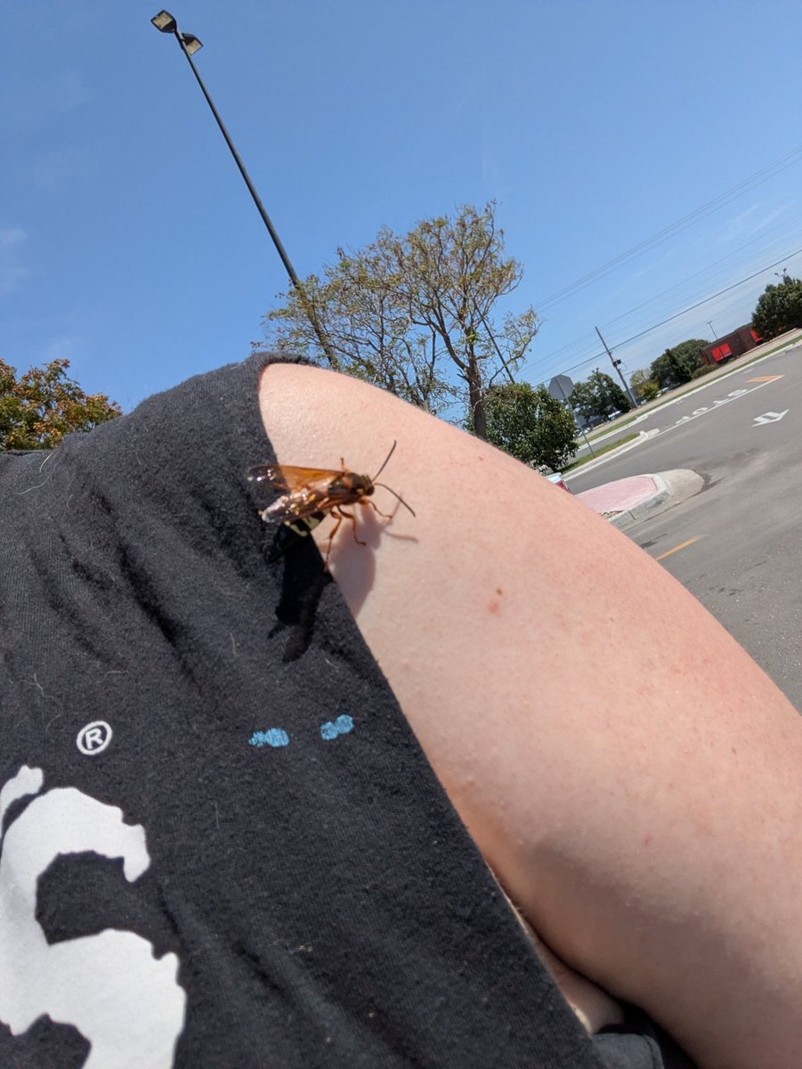 AdoringDice's tweet image. Help
