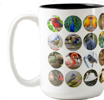 #Gifts for the #bird lover. Check out Regency Style by Susana’s Zazzle shop. #customizable #colorful ow.ly/RWRS30sNz5k