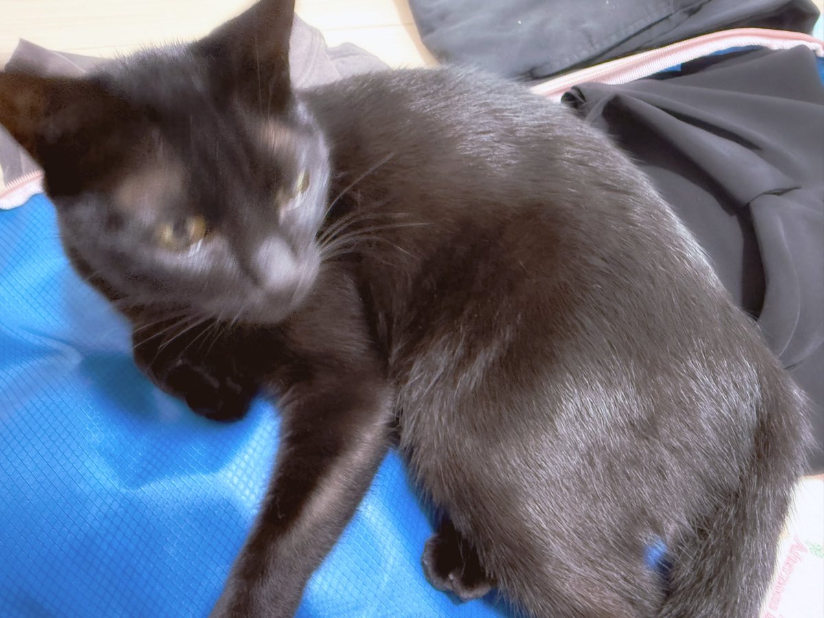 つめつめしちゃうからねぇ〜😺