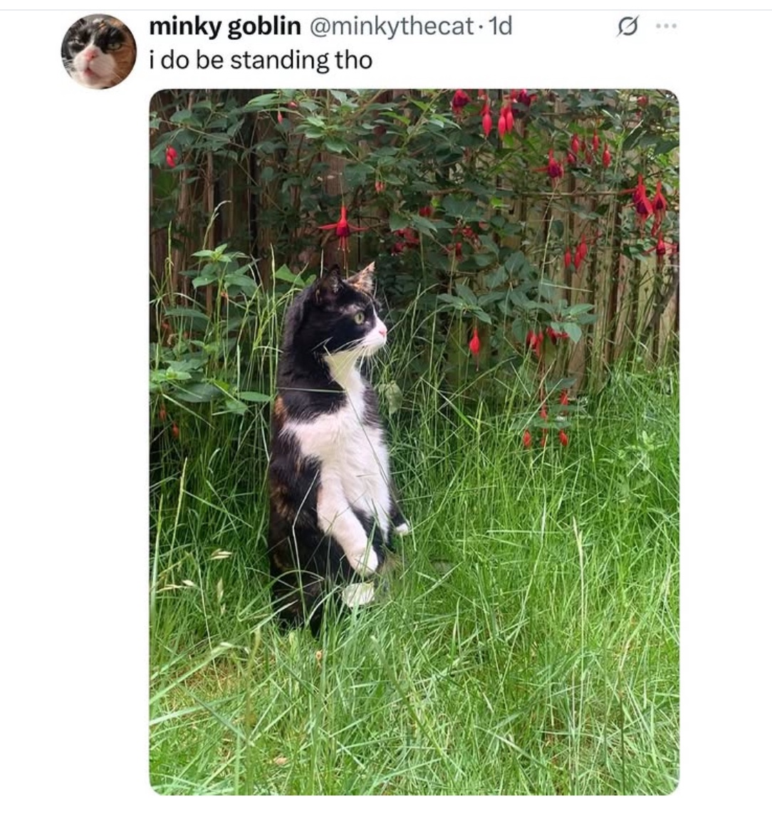 PowerfulAuraX's tweet image. 