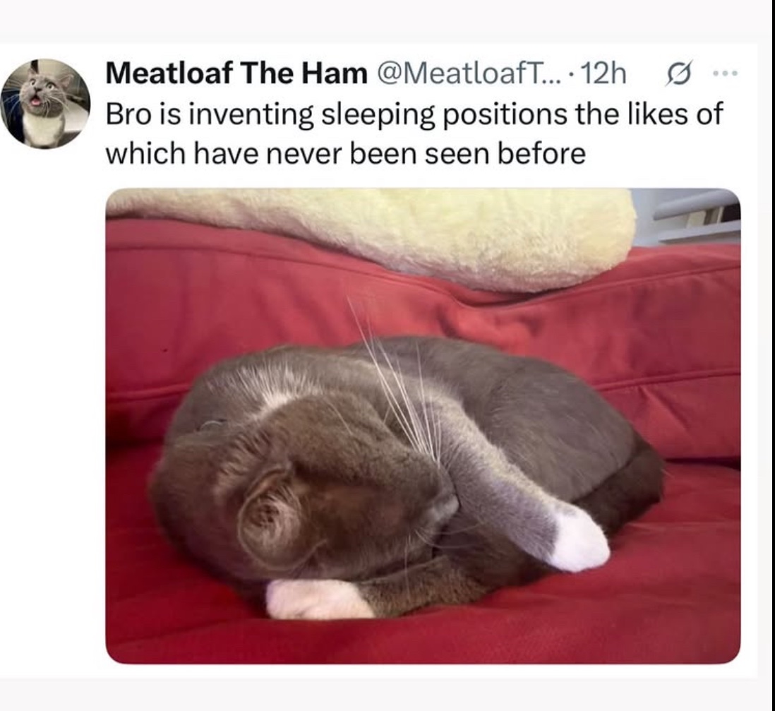 PowerfulAuraX's tweet image. 