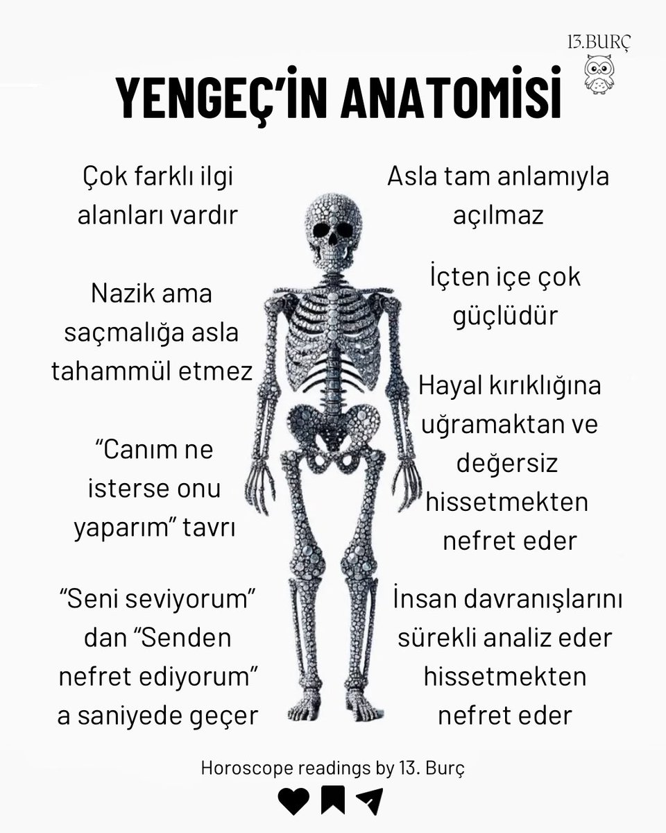 YENGEÇ’İN ANATOMİSİ