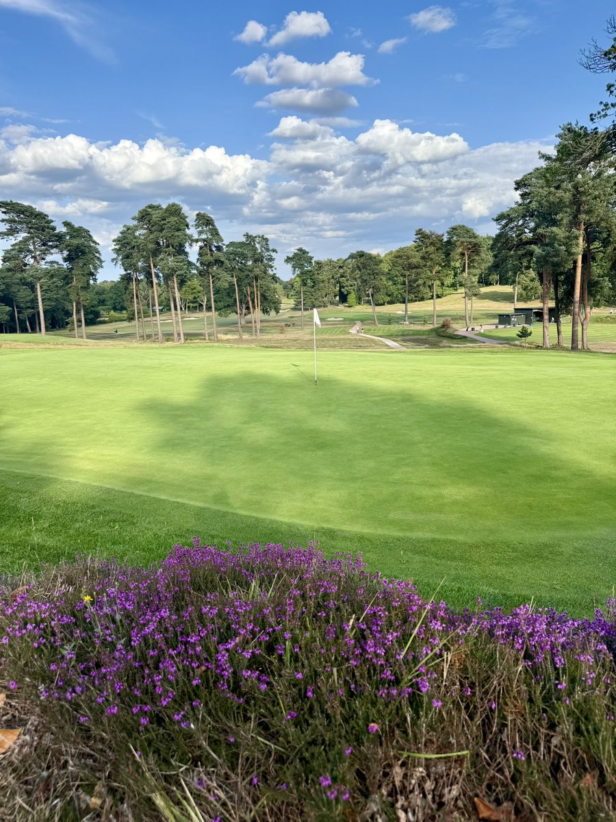 Mike Harris tweet media