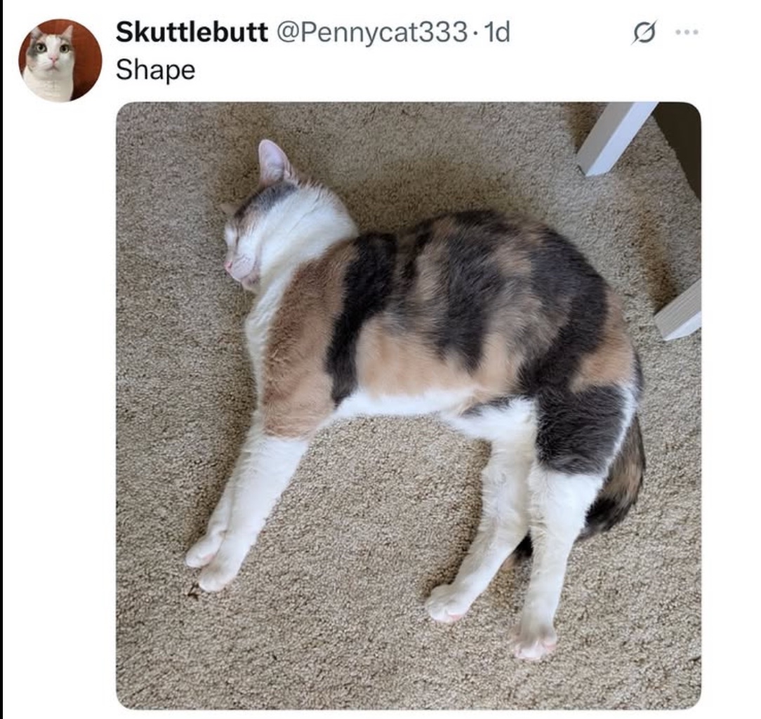 PowerfulAuraX's tweet image. 