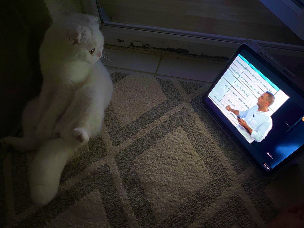Burçin (@brcnkpln) on Twitter photo Beraber oturduk balkonda, #onlar izliyoruz! 😻
<a href="/tvOnlar/">Onlar</a>
<a href="/aydinsule1/">Şule Aydın</a>
<a href="/muratagirel/">Murat AĞIREL</a>
<a href="/timursoykan/">Timur Soykan</a>
<a href="/baristerkoglu/">Barış Terkoğlu</a>
<a href="/barispehlivan/">Barış Pehlivan</a> Beraber oturduk balkonda, #onlar izliyoruz! 😻
<a href="/tvOnlar/">Onlar</a>
<a href="/aydinsule1/">Şule Aydın</a>
<a href="/muratagirel/">Murat AĞIREL</a>
<a href="/timursoykan/">Timur Soykan</a>
<a href="/baristerkoglu/">Barış Terkoğlu</a>
<a href="/barispehlivan/">Barış Pehlivan</a>