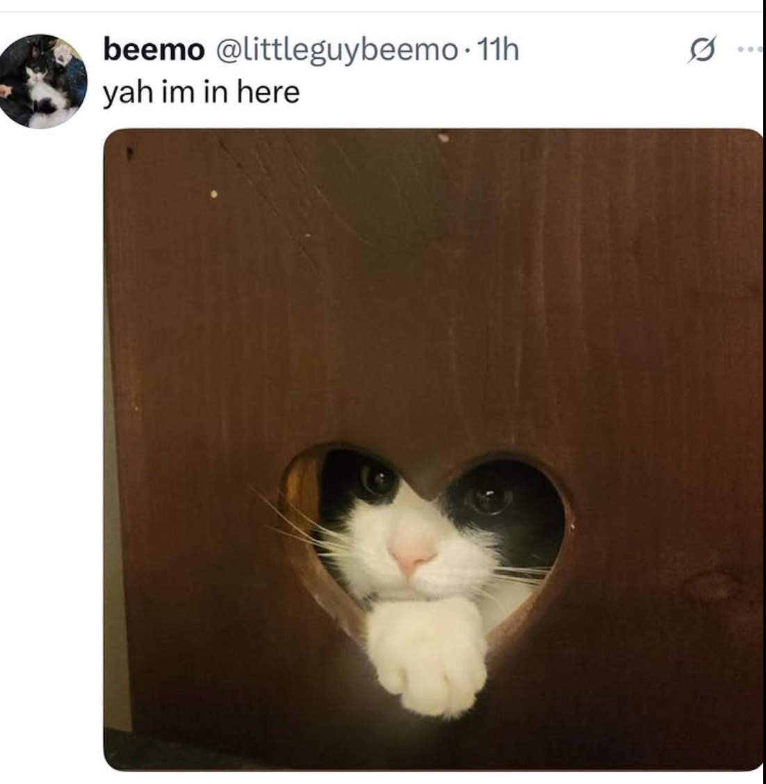 PowerfulAuraX's tweet image. 