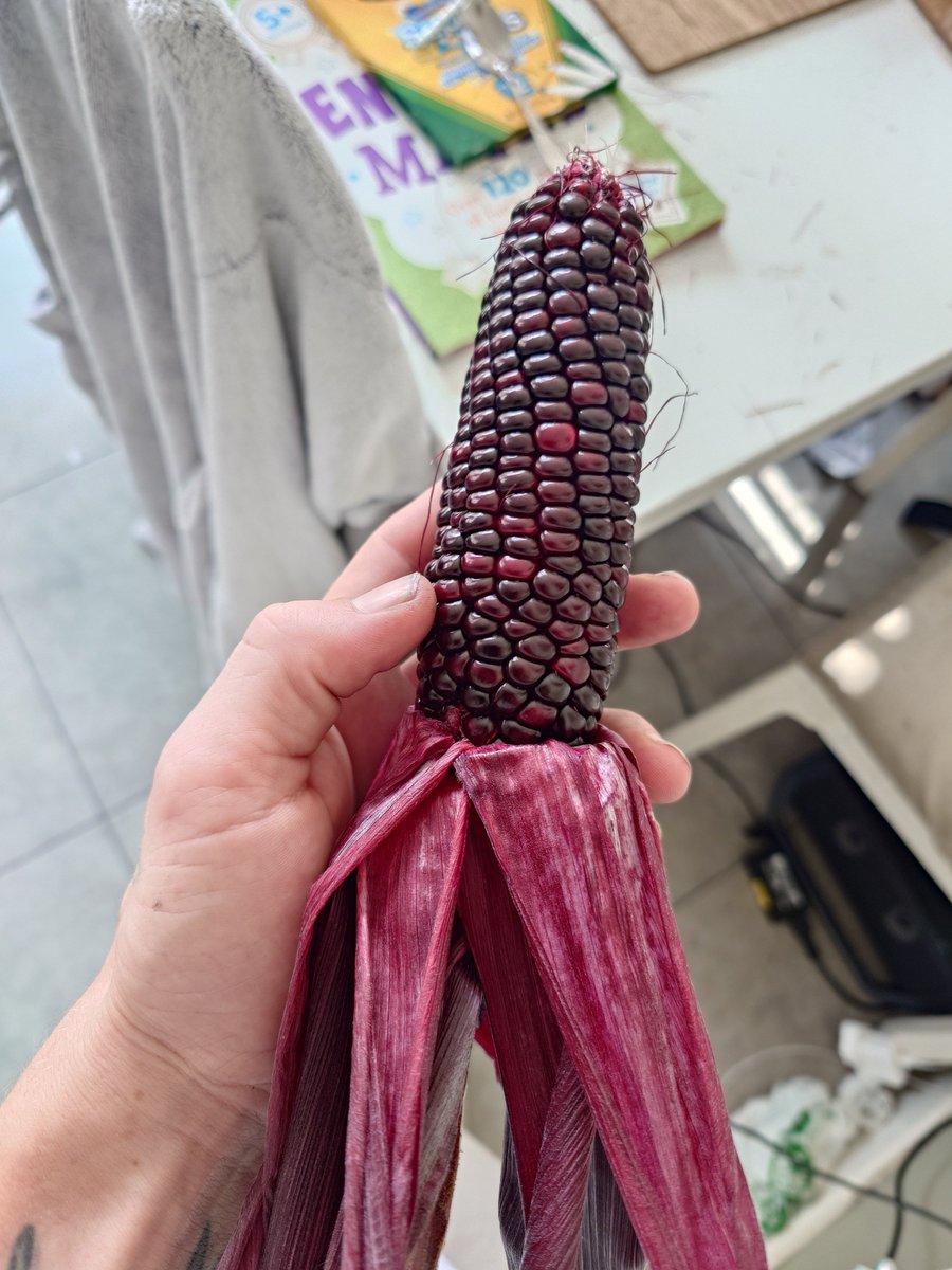 AlgoNFTBuddies's tweet image. Loook at my homegrown corn 🤯🌱
That's some beautiful corn right there 😂
