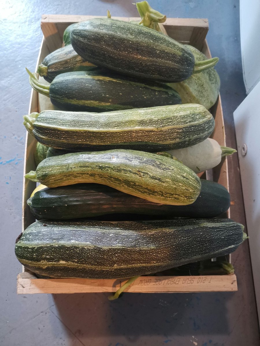 kittylt's tweet image. Récolte du soir jardin 😍😊