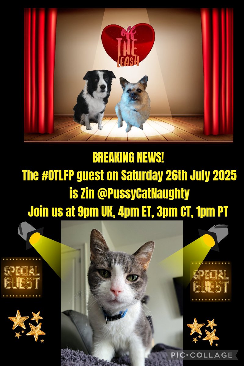 OffTheLeashFP's tweet image. 📌 Did you miss our latest #OTLFP show this past Sat July 26? Click this link to see highlights!
Guest: Zin @PussycatNaughty
Hosts: @Pixie_Tooth & @MillieOTLFP
Our next show is Sat Aug 2! All are welcome. Just search & follow #OTLFP!
x.com/search?q=%23OT…