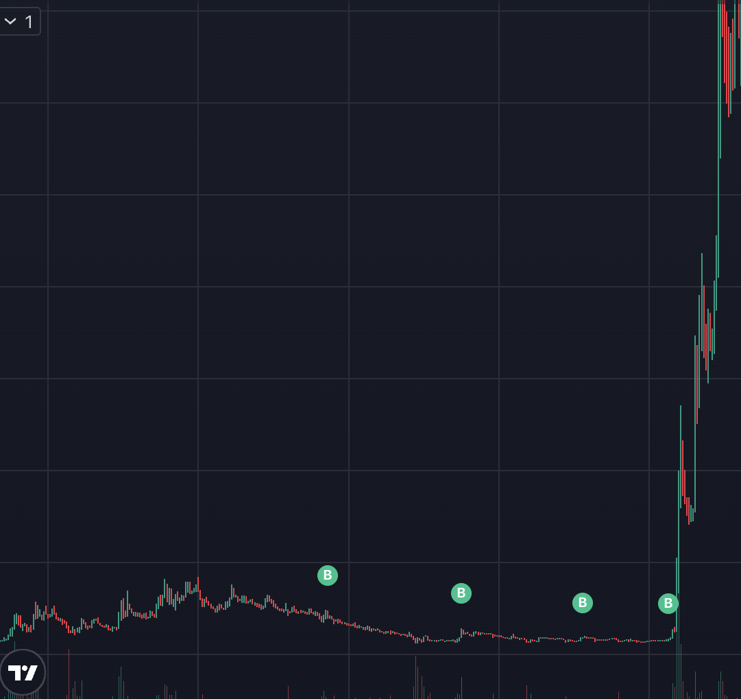 When I saw <a href="/XbtPika/">Pika XBT</a> talking about $memecoin a couple weeks ago I had to throw some sol at it just based on his track record. Then I saw what was forming around this and kept DCAing knowing it was getting ready to go parabolic. This is how you draw it up. Higher much higher!