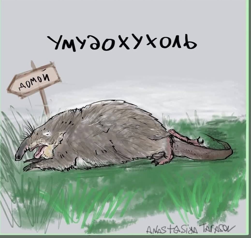 Мне обещали спад продаж летом и легкий ритм работы, но что-то, блять, пошло не так