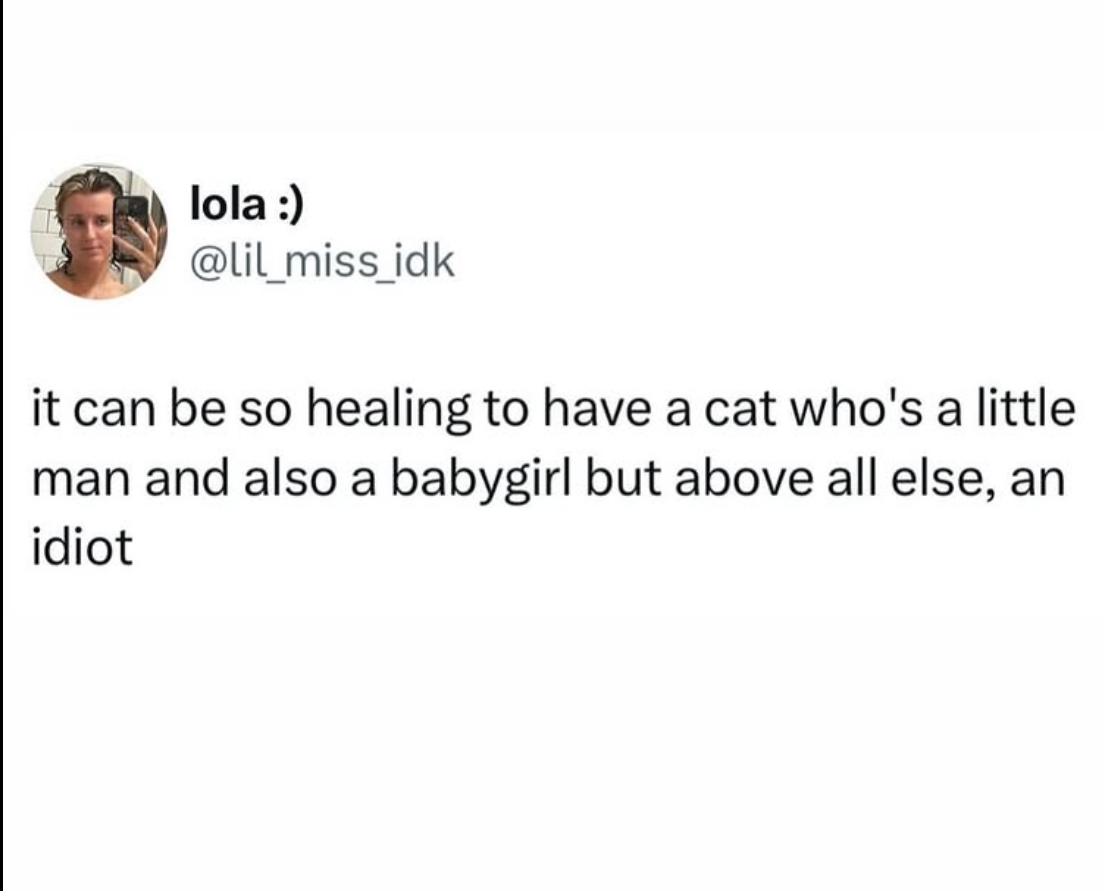 PowerfulAuraX's tweet image. 