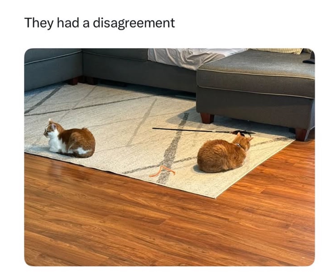 PowerfulAuraX's tweet image. 
