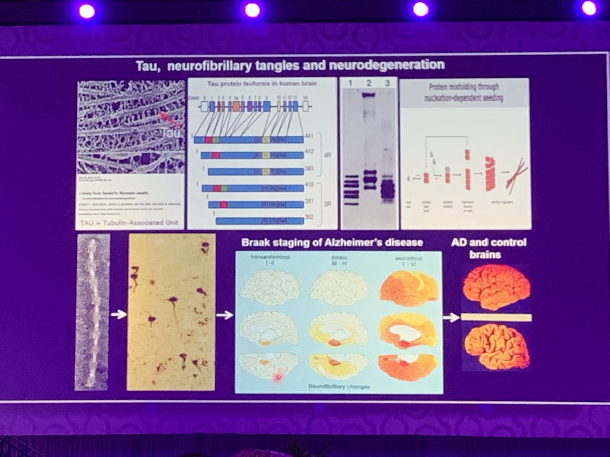 #AAIC2025 great plenary by Dr. Maria Grazia Spillantini on discovery of tau and its role in #neurodegeneration. Historical perspective and future directions including #neurotherapeutics