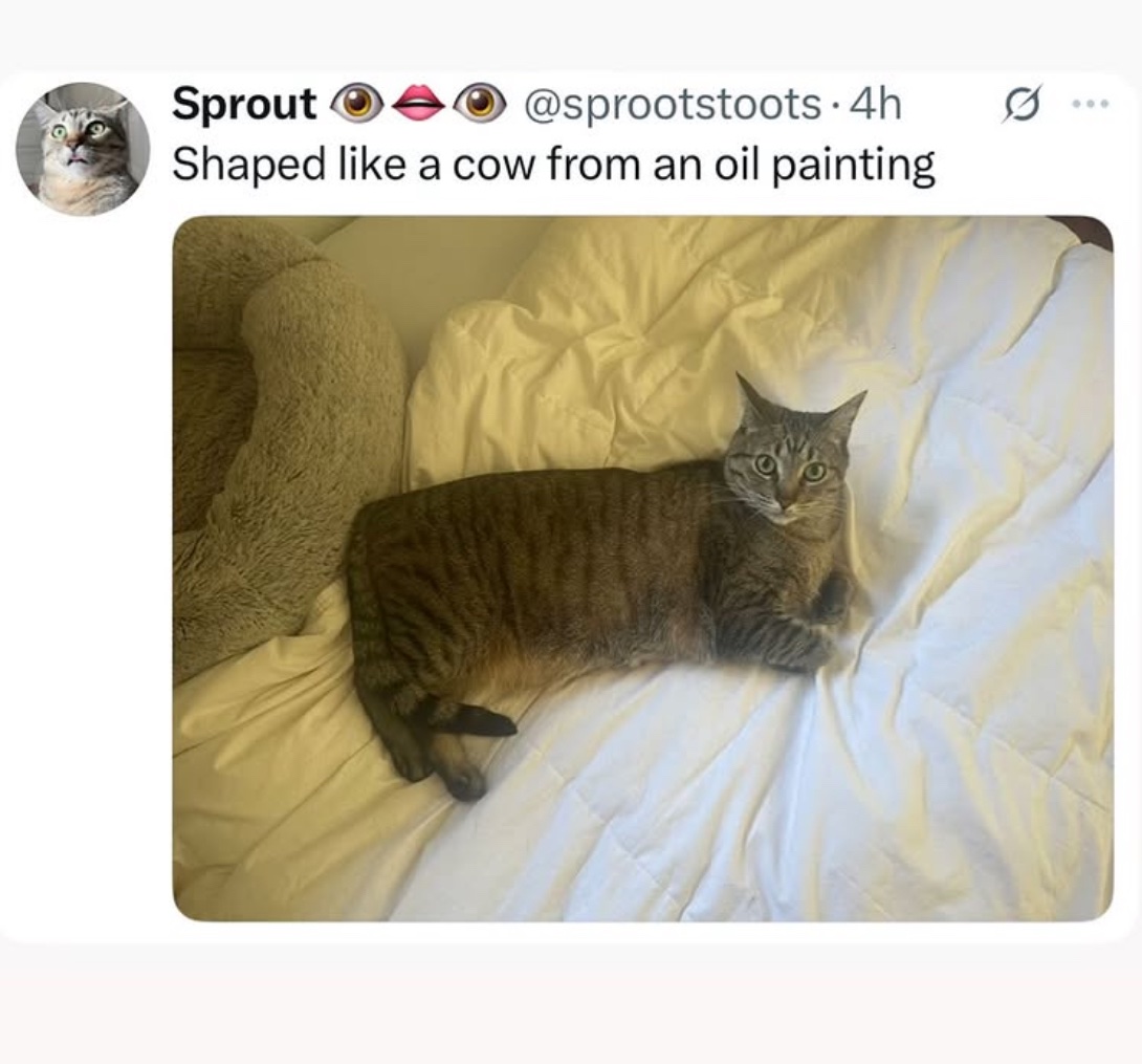 PowerfulAuraX's tweet image. 