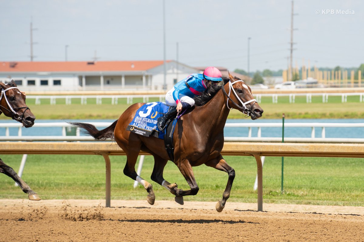 Champs of the Track (@champstrack) on Twitter photo Alpine Princess on her way to her third stakes victory, the Mari Hulman George Memorial at <a href="/HSIndyRacing/">Horseshoe Indianapolis Race Course</a>.
The three-year-old filly is sired by Breeders' Cup Juvenile winner Classic Empire out of the Curlin mare Le Moine. The $190,000 @KeenelandSales Yearling purchase has earned Alpine Princess on her way to her third stakes victory, the Mari Hulman George Memorial at <a href="/HSIndyRacing/">Horseshoe Indianapolis Race Course</a>.
The three-year-old filly is sired by Breeders' Cup Juvenile winner Classic Empire out of the Curlin mare Le Moine. The $190,000 @KeenelandSales Yearling purchase has earned