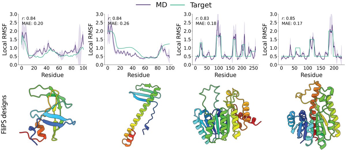 _ncyxx's tweet image. 1/6 One of the key features of functional proteins is their inherent structural flexibility. In our recent work at @icmlconf, we introduce flexibility to protein structure design. Our model FliPS generates protein structures with custom per-residue flexibilities as validated by…