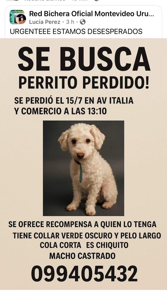 Adriana (@adriana43587622) on Twitter photo 