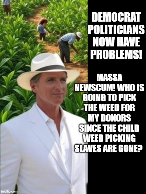 Who is going to pick my donors weed, after their child slaves are rescued?