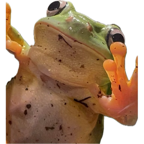 ETH  to the moon 🚀