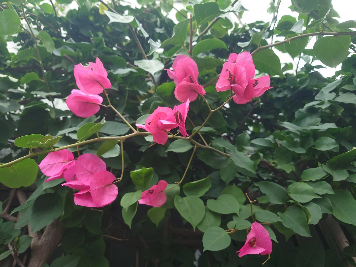 今更やけど

水泳ったダイエットに良いかも🏊‍♀️

おはようございます🌞