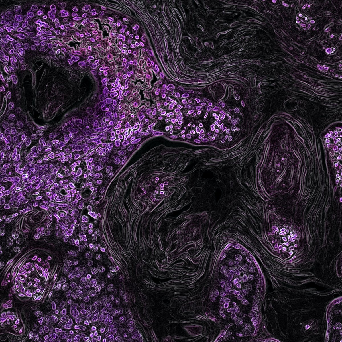 Asiaticoside mitigates #COPD by modulating TRIM27 stability and activating PGC-1α/Nrf2 signaling, reported scientists from Jiangnan University.

💡 Learn more: bit.ly/4lZbPUD