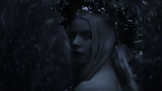 robert eggers really knows how to make beautiful films