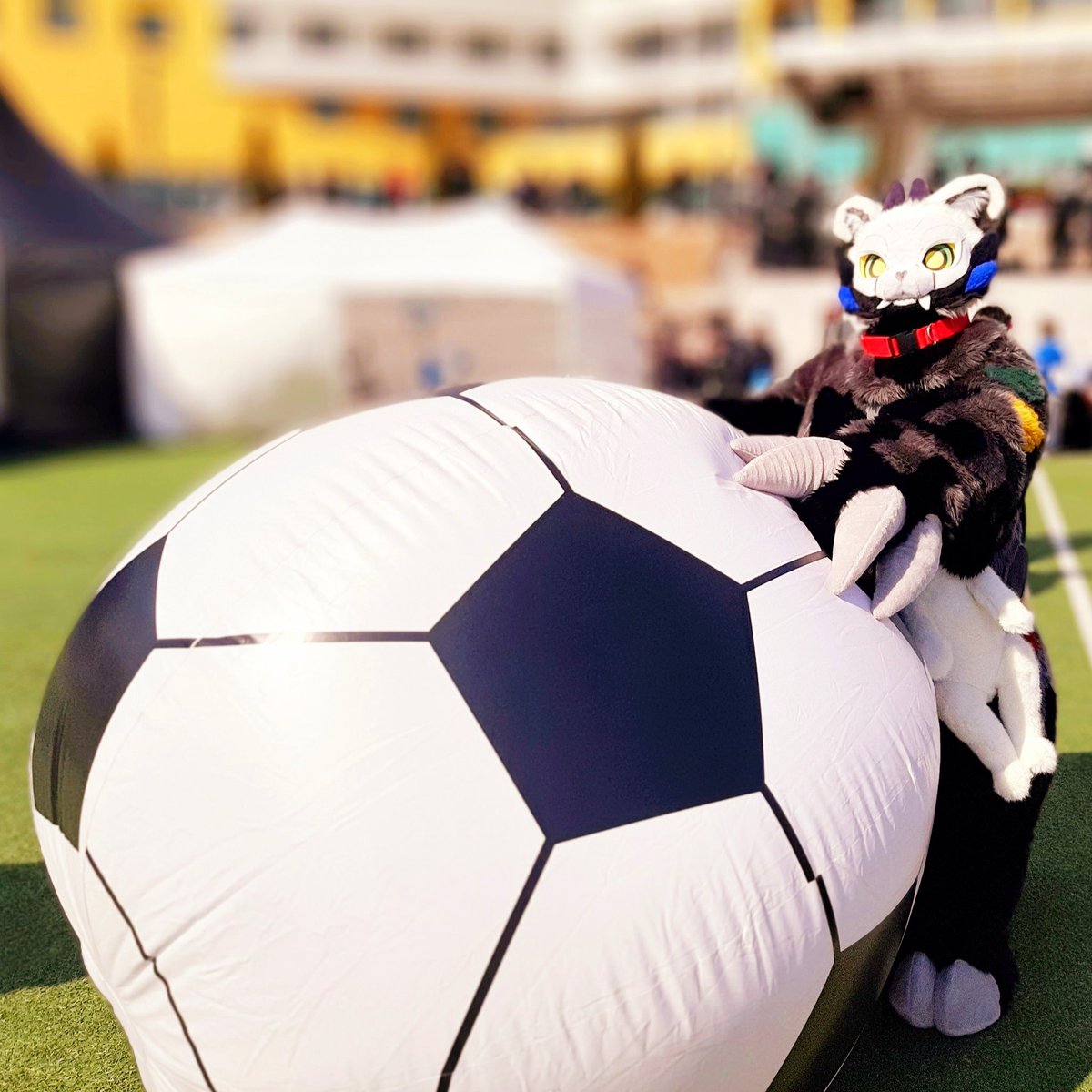 #FurryJoA2025 #퍼리조아2025
#FurryJoA4 #퍼리조아4
#FursuitEveryday 

🌈🦦: 공을 굴려서~ 공을 굴려서~
             골대를 향해 슛을 넣자~

🌈🦦: (렌트라/Lendra)