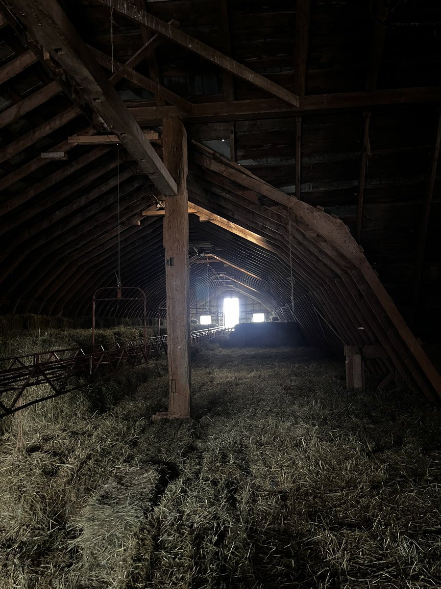 GGrinder33's tweet image. Having a little fun tonight throwing some hay bails around!