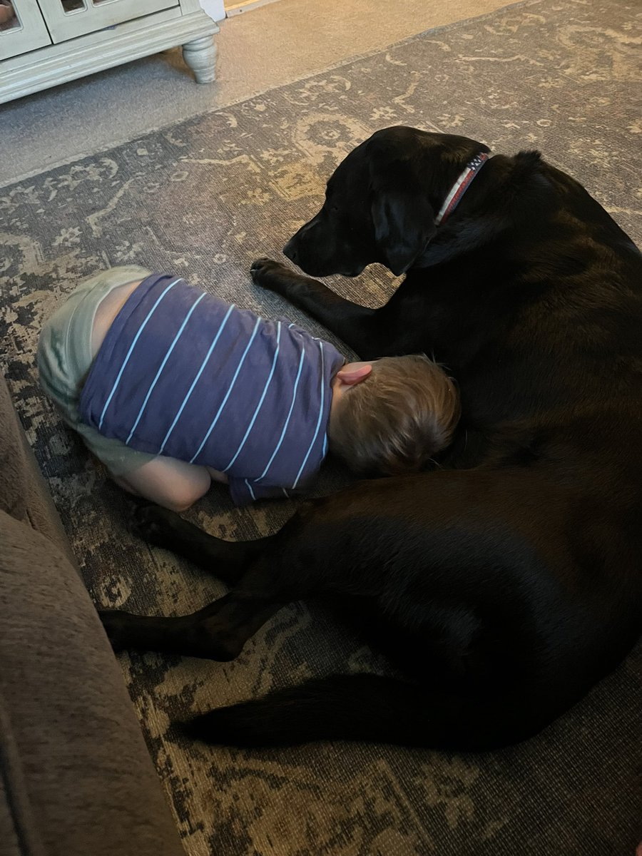Not much better than a boy and his dog…